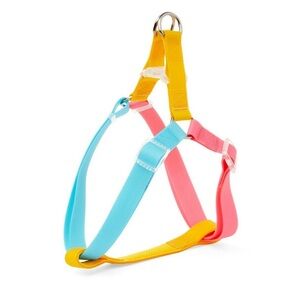 Youly Dog Harness (The Extrovert)